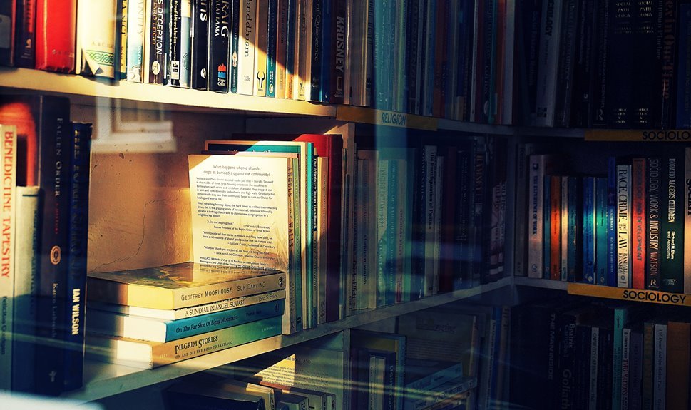 sawyer chandler biography and career